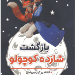 بازگشت شازده کوچولو